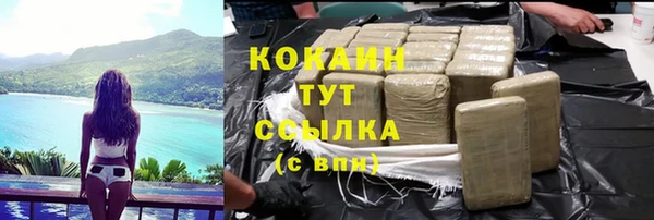индика Алексин
