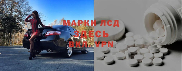 индика Алексин