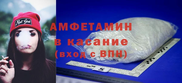 индика Алексин