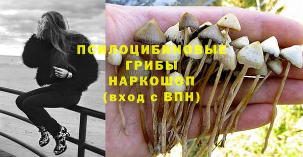 стафф Алексеевка