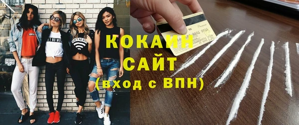 индика Алексин