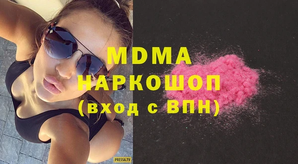 индика Алексин