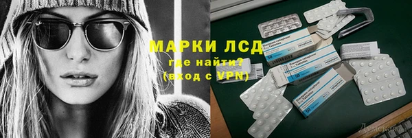 индика Алексин