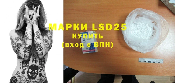индика Алексин