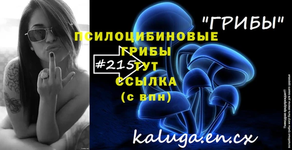стафф Алексеевка